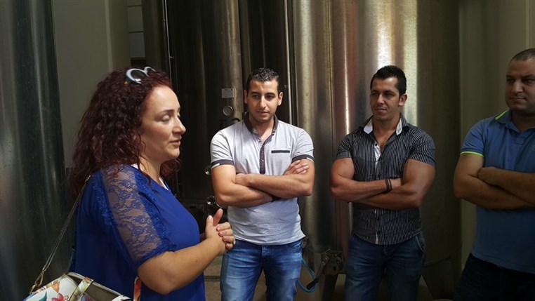 Wine Tasting at Domaine Wardy 